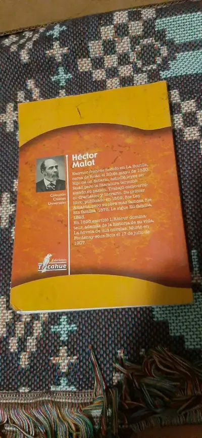 Libro En Familia de Héctor Malot - miniatura 2