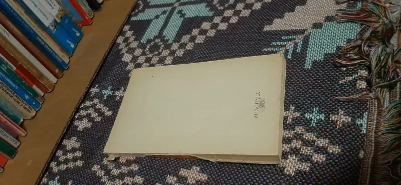 Libro El Pequeño Nicolás - 2