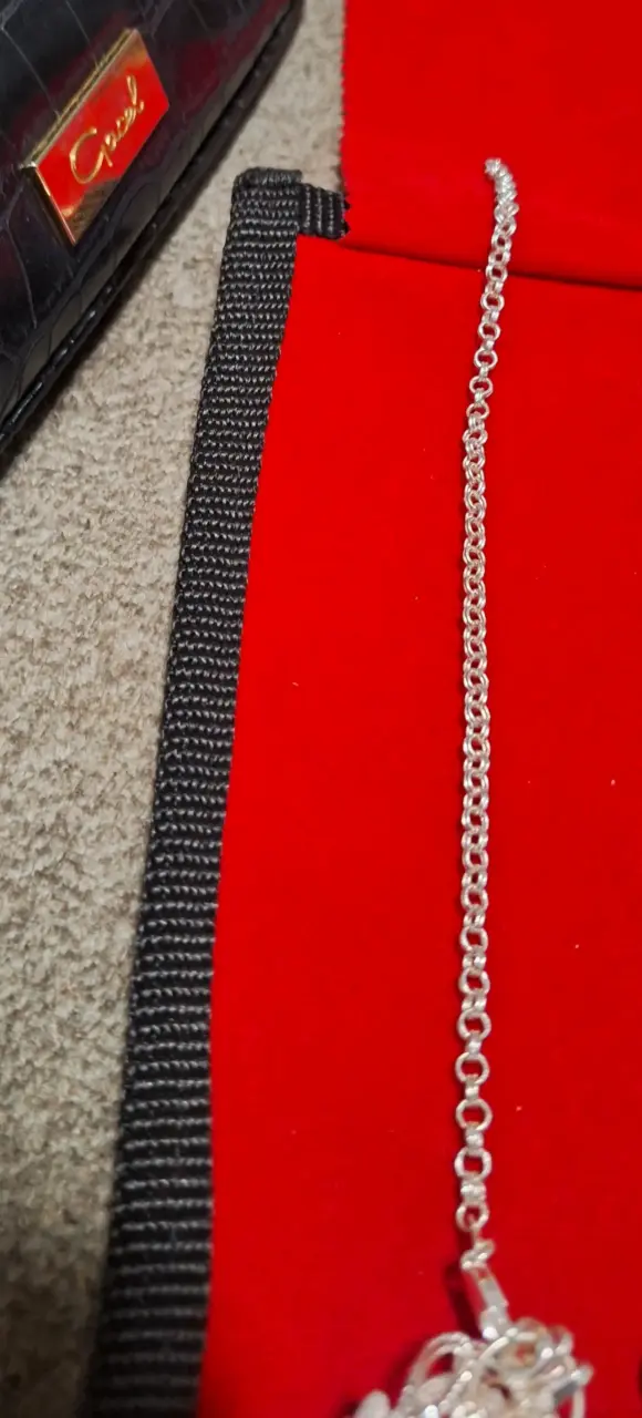 Pulsera de plata en estuche