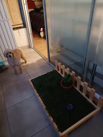 Baño de pasto para perros - miniatura 1