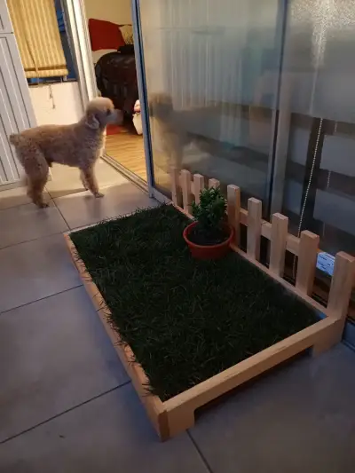 Baño de pasto para perros - miniatura 2