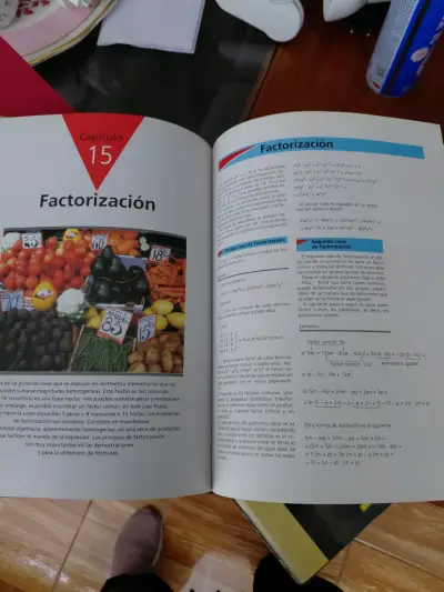 Enciclopedia Didáctica Física y Química - miniatura 2