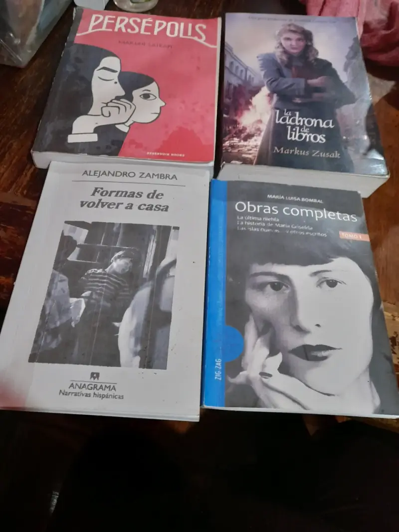 Lote de libros variados
