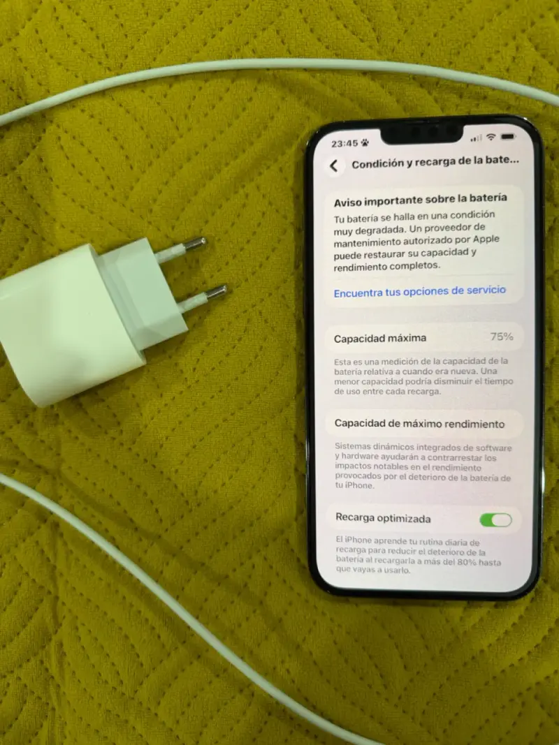 Cargador y celular con batería degradada - 1