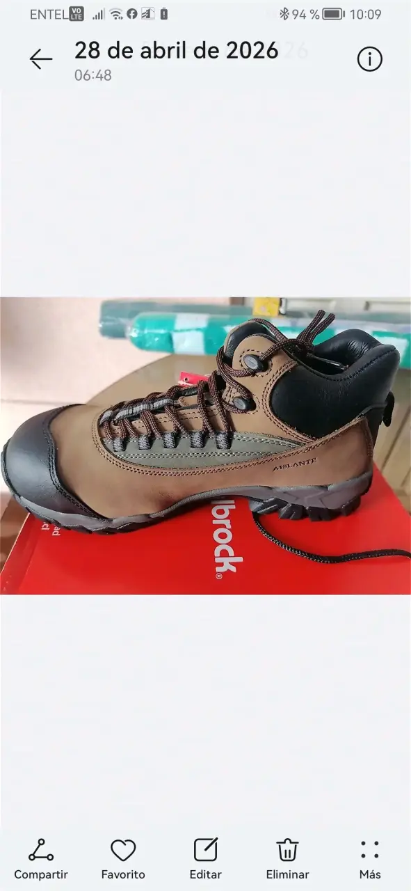 Zapatos de seguridad nuevo