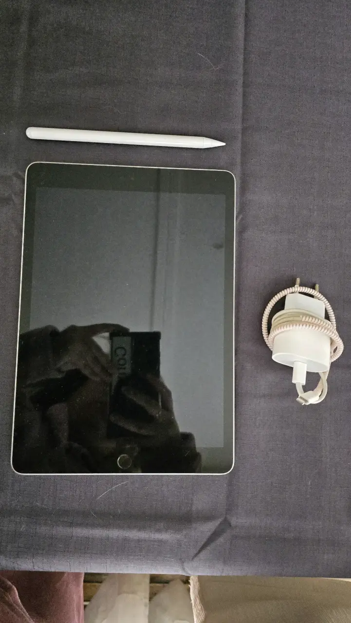 Ipad 9 Generación Wifi 64 GB + Lápiz + Cargador - 3