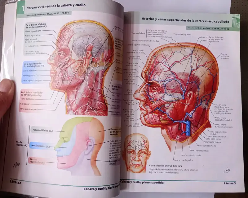 Atlas de anatomía humana 5ª Edición - 2