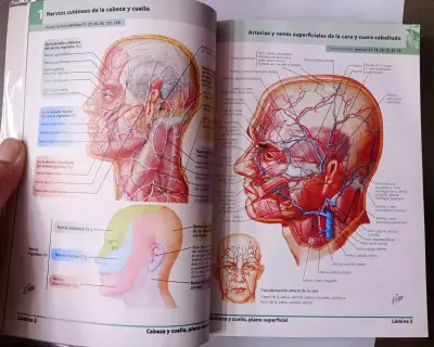 Atlas de anatomía humana 5ª Edición - miniatura 2