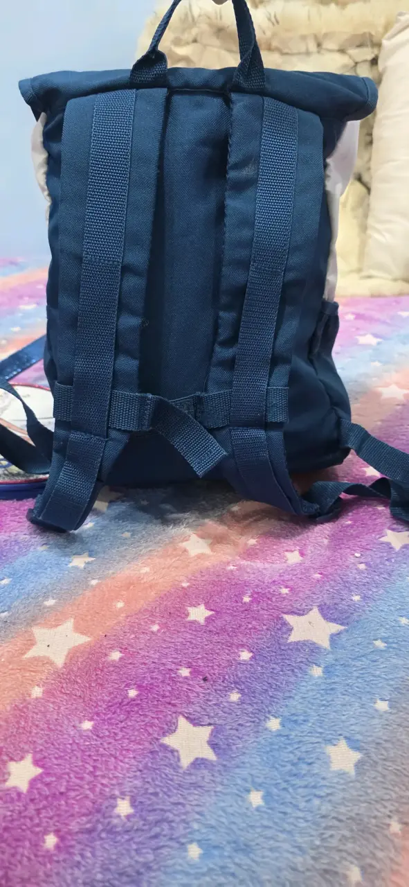 Mochilas Frozen azul y blanca - 2