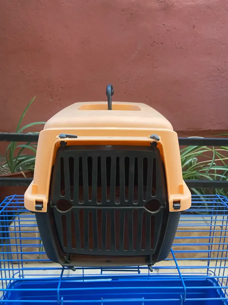 Transportadora de mascotas naranja - 1