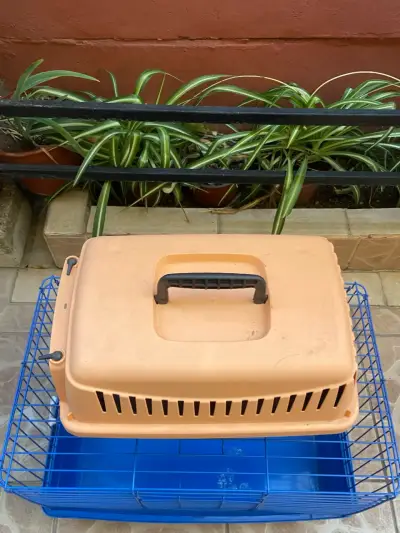 Transportadora de mascotas naranja - miniatura 3
