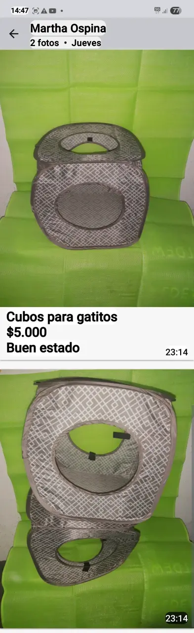 Cubo de descanso para gatitos