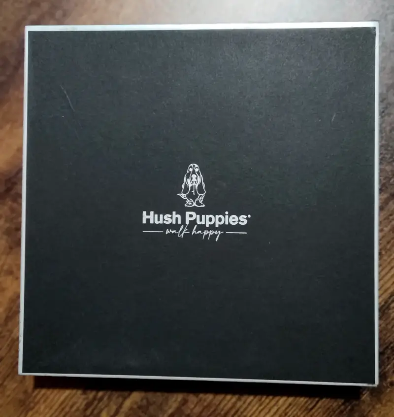 Pañuelo Hush Puppies azul - 2