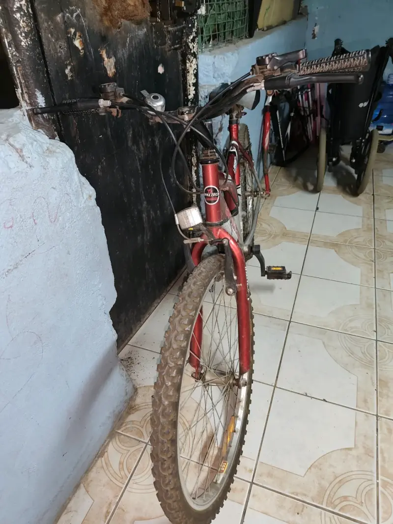 Bicicleta Opaltech roja y plateada - 3