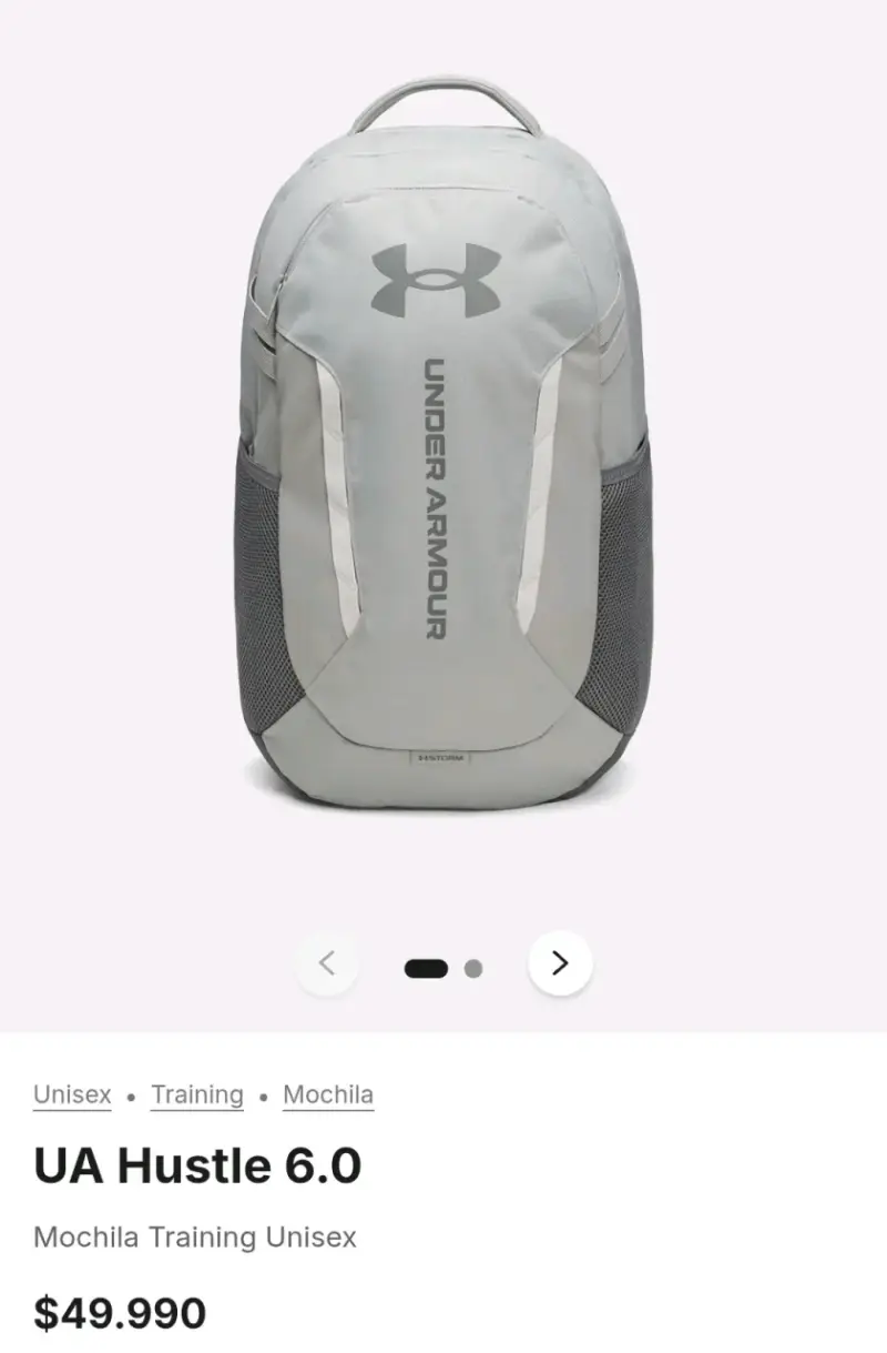 Mochila HUSTLE 6.0 Under Armour gris - 2