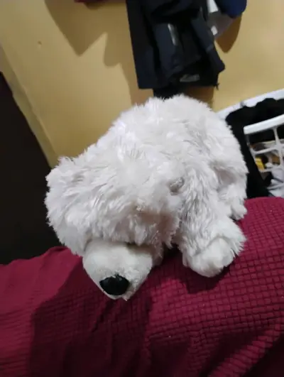 Lote de peluches de animales - miniatura 5