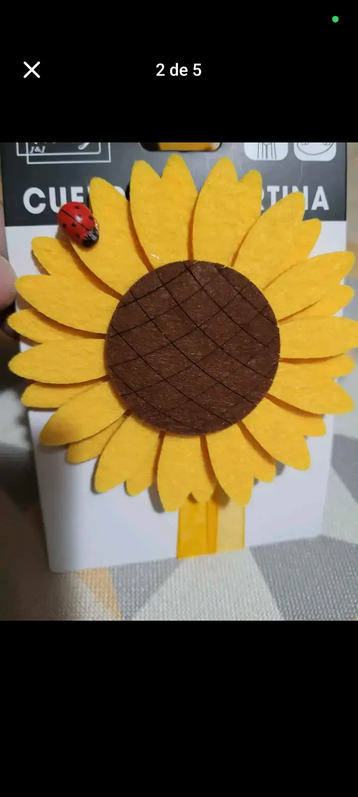 Toma cortina girasol imán el par - 2