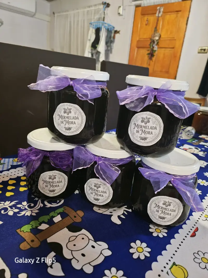 Mermelada de mora artesanal