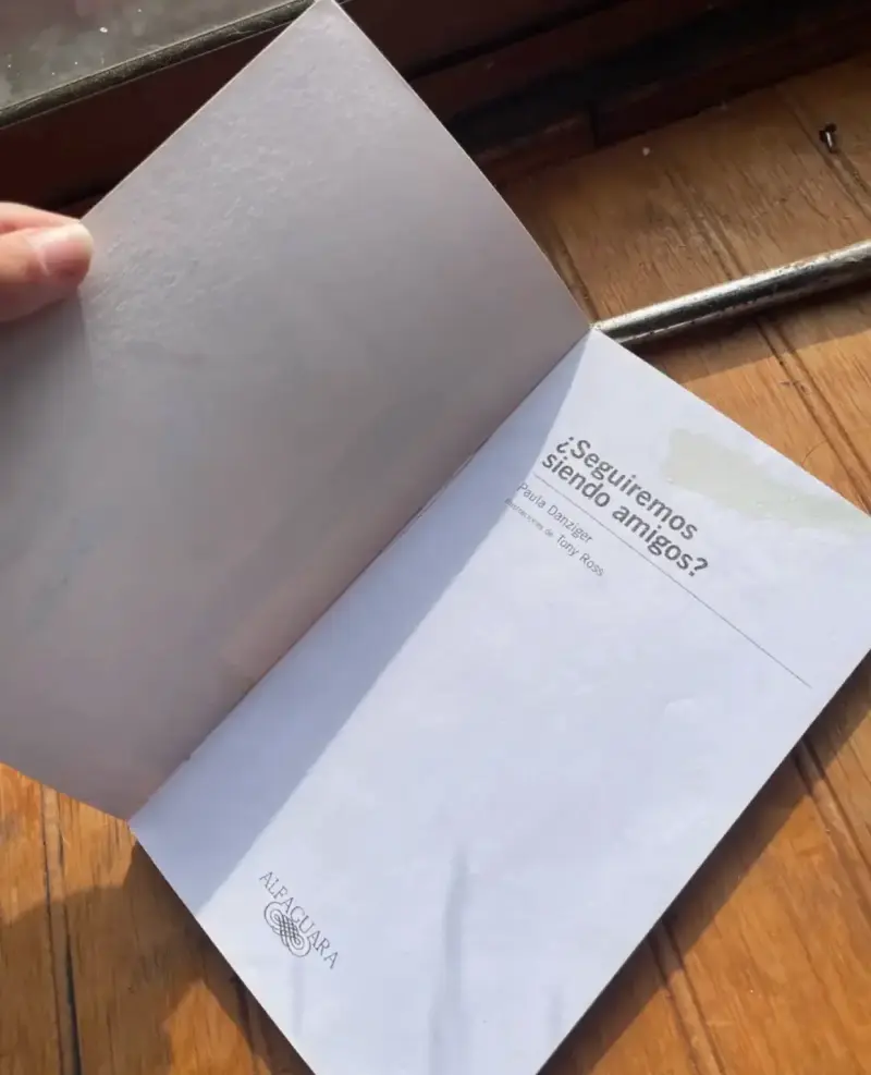Libro '¿Seguiremos siendo amigos?' - 2