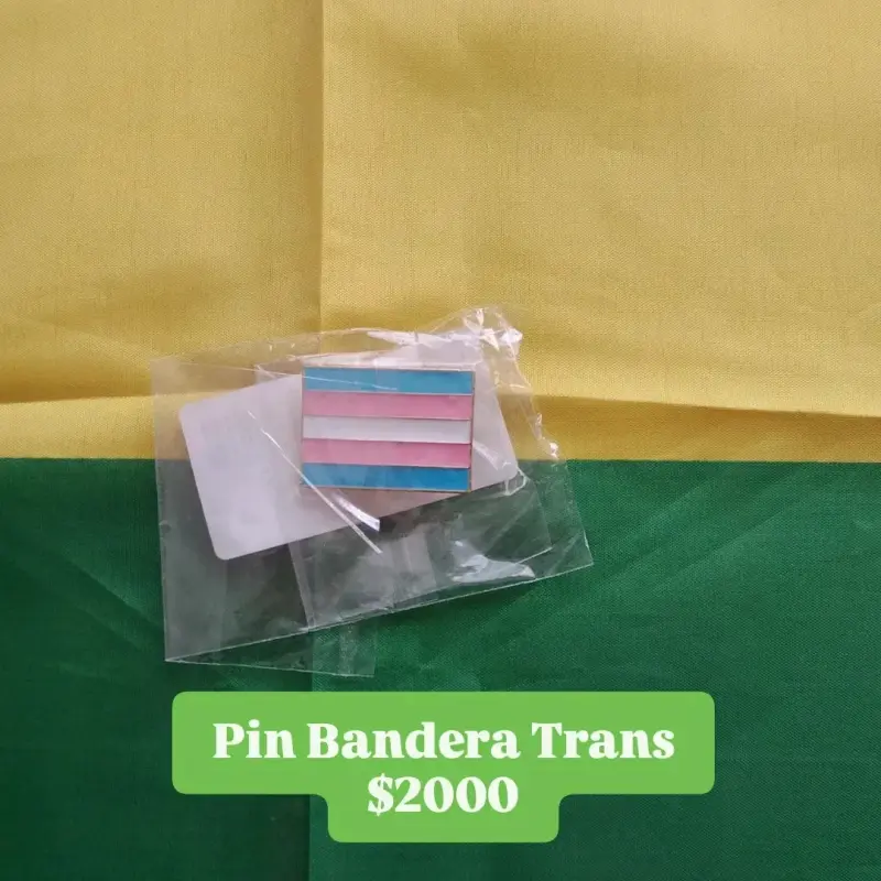 Pin Bandera Trans