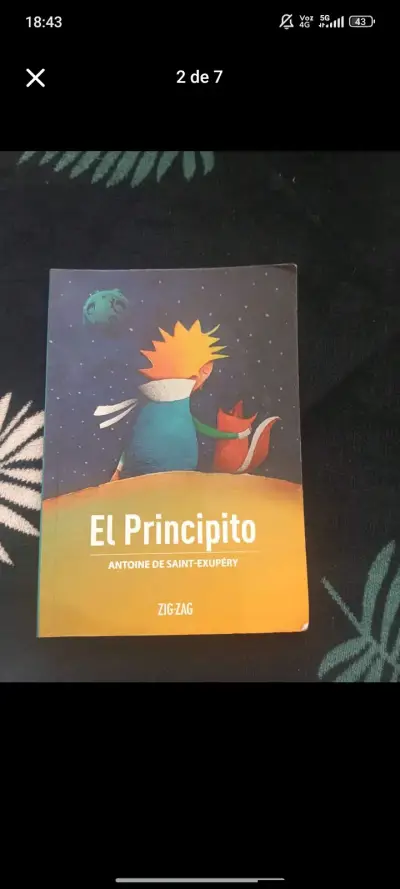 Libros zig zag - miniatura 2