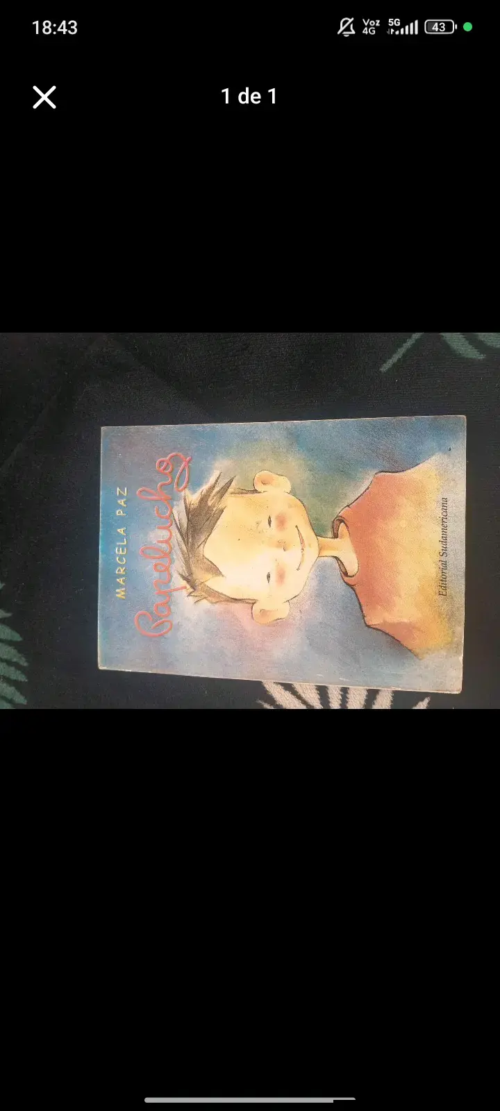 Libro Papelucho Marcela Paz