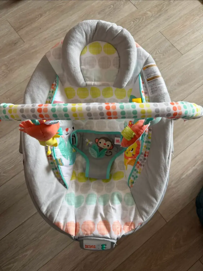 Silla mecedora de bebé Bright Starts - 2