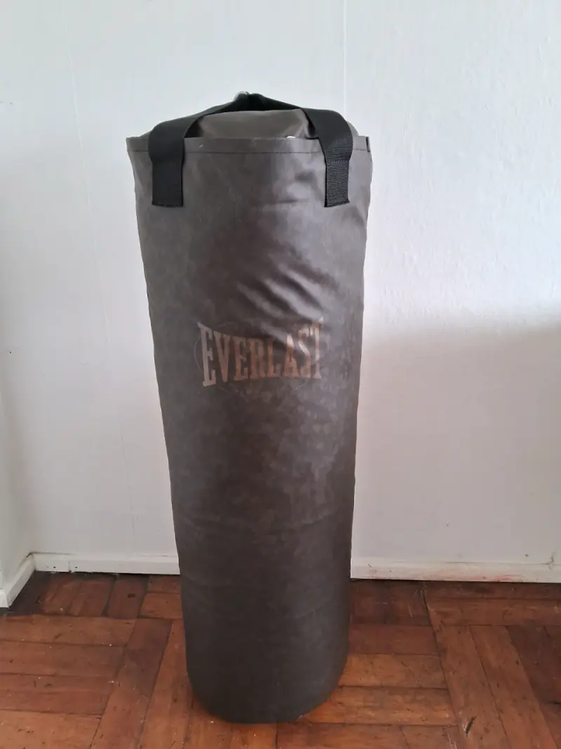 Saco de boxeo Everlast y guantes de regalo - 1