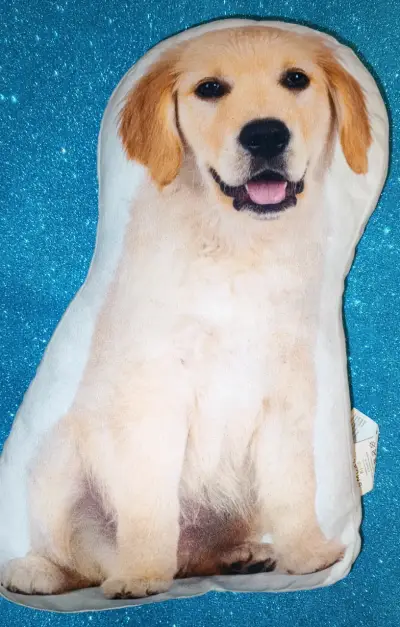 Cojín decorativo de perro - miniatura 2