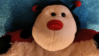 Peluche mariquita grande - miniatura 1
