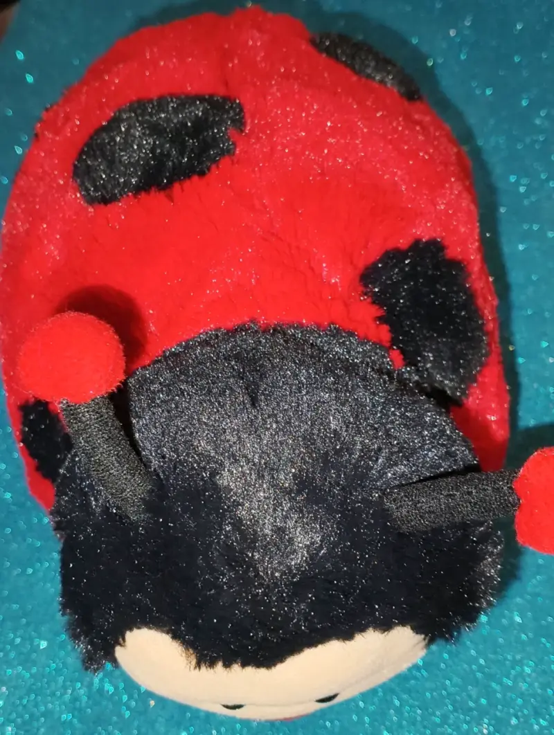 Peluche mariquita grande - 6