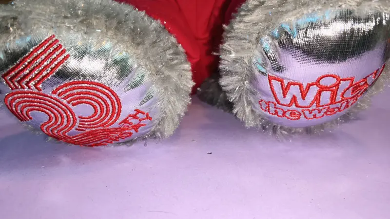 Peluche BAB lobo con ropa cool - 4