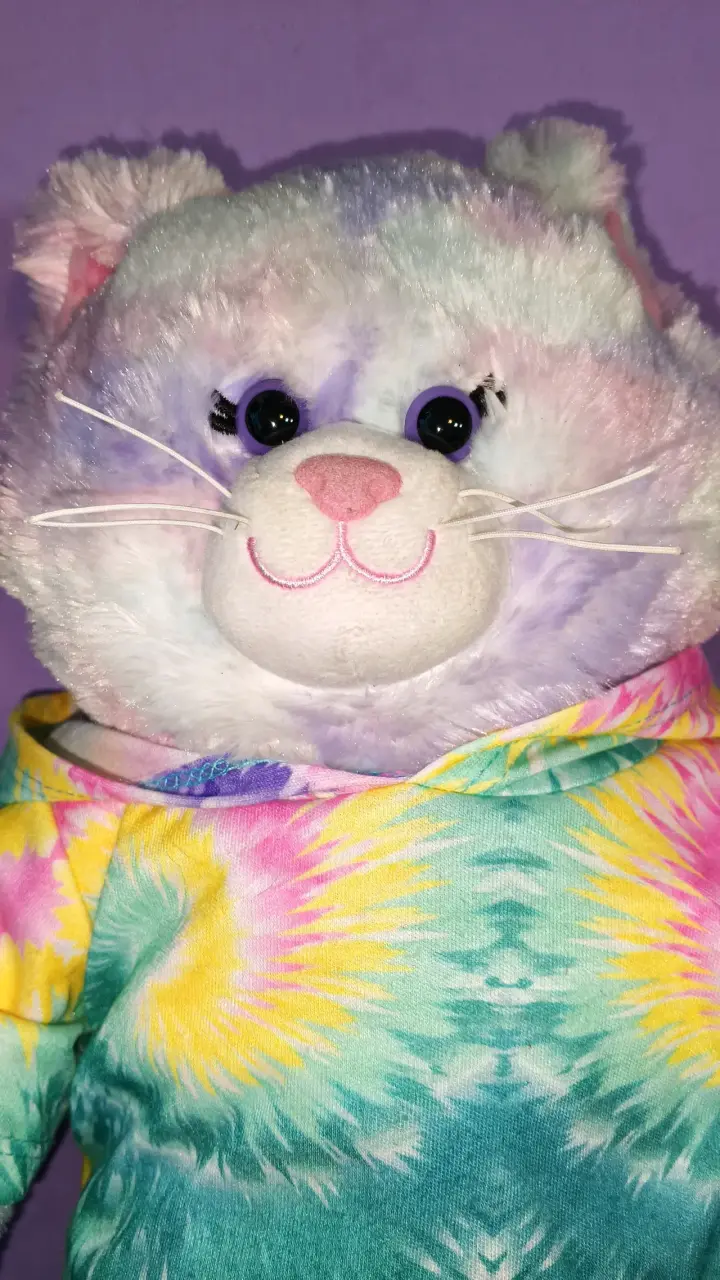 Peluche BAB gato multicolor - 4