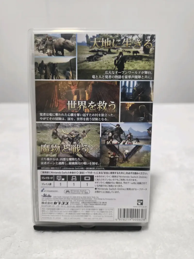Dragon's Dogma Dark Arisen (JP) Nintendo Switch - 2