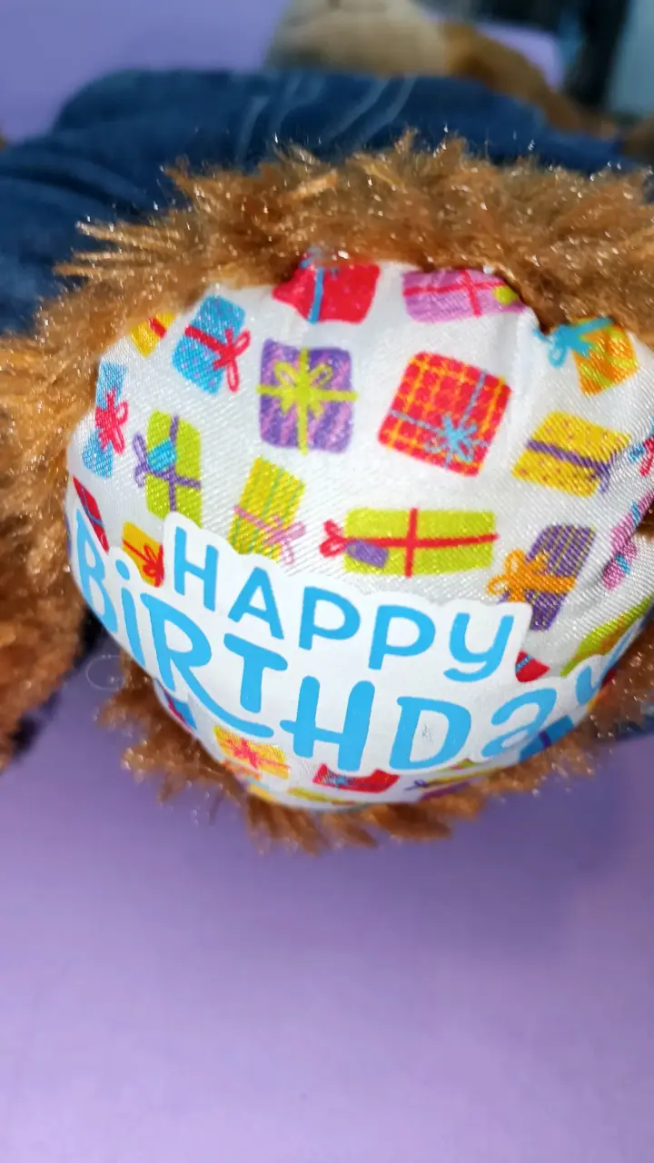 Osito BAB de peluche vestido casual - 3