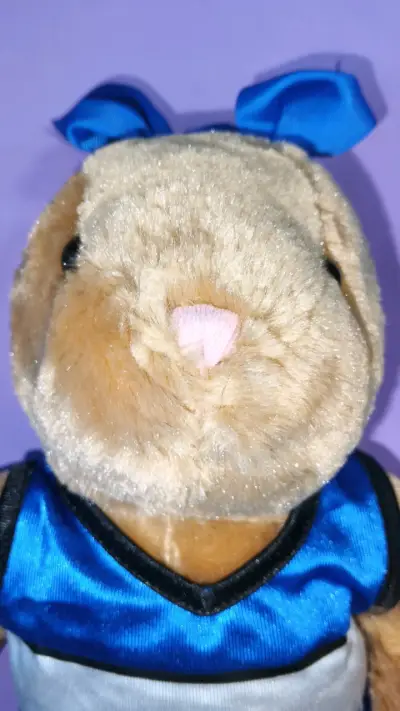 Peluchito BAB conejo con polera azul - miniatura 1