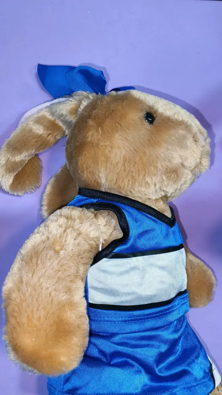 Peluchito BAB conejo con polera azul - 3