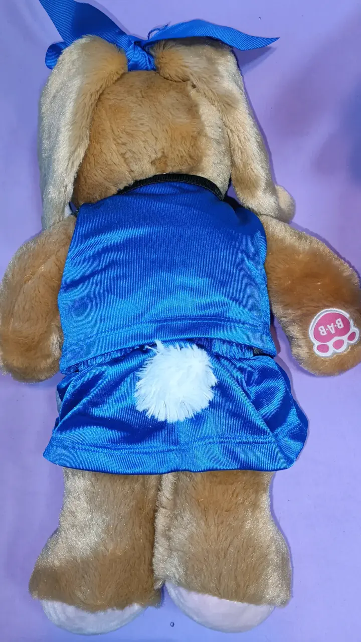 Peluchito BAB conejo con polera azul - 4