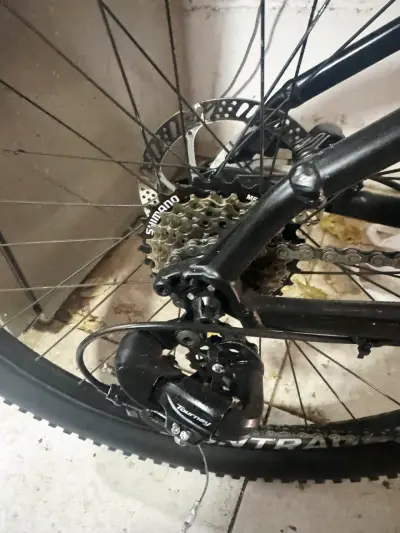 Trek Marlin 5 - miniatura 2