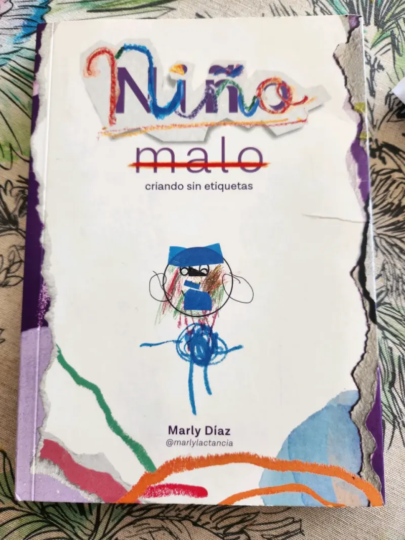 Libro Niño malo