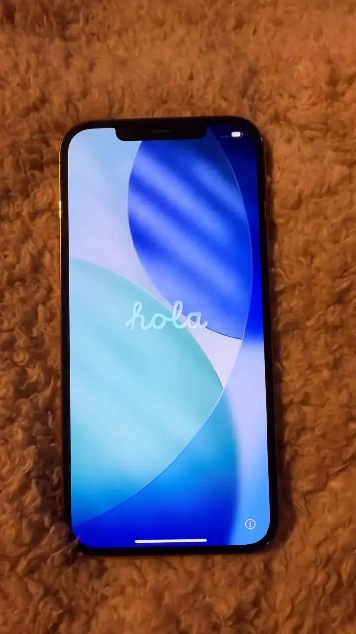 iPhone 12 Pro  Max - 4