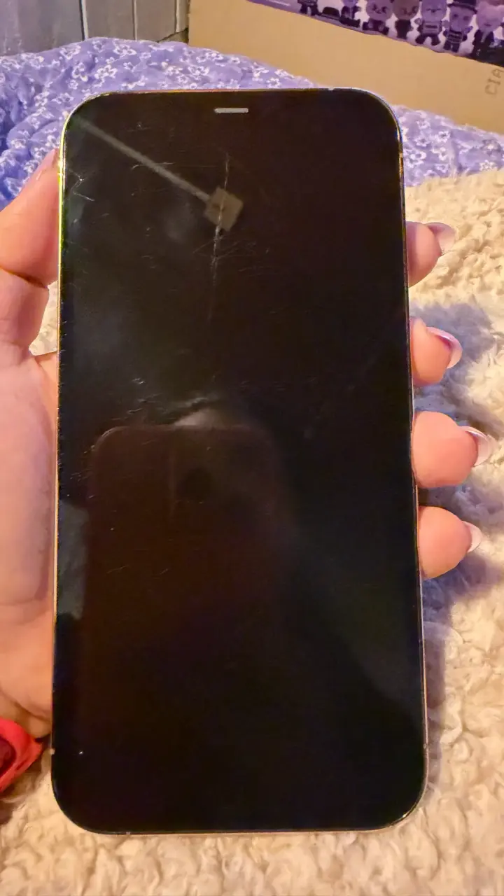 iPhone 12 Pro  Max - 5