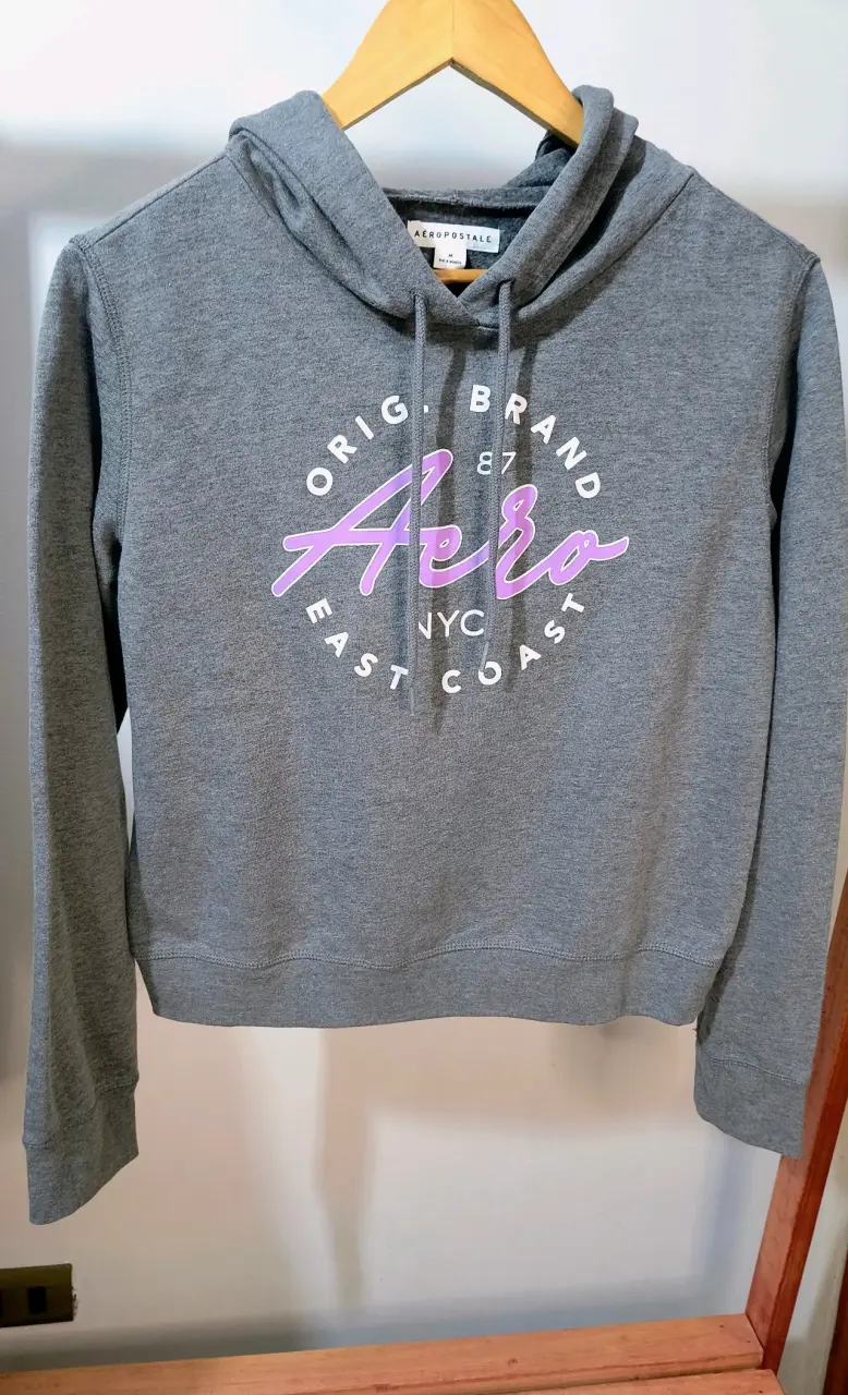 Polerón Aero gris con capucha