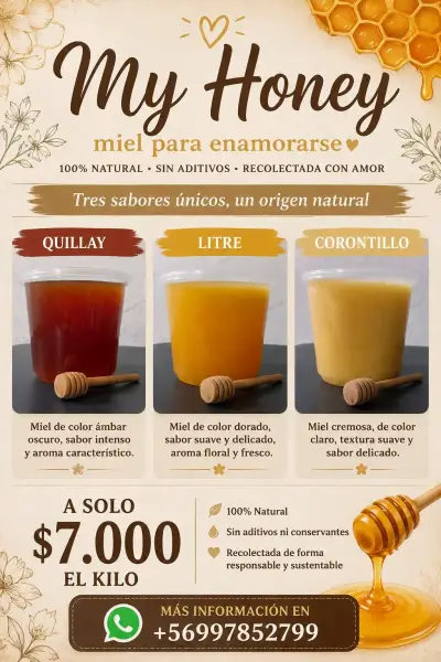 Miel 100% Natural "My Honey" - miniatura 1