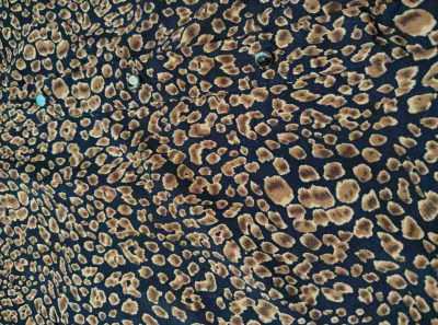Blusa estampado animal print - miniatura 2