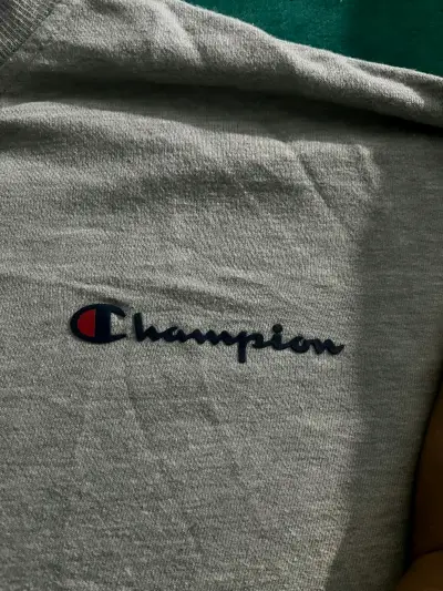 Polerón gris Champion - miniatura 3
