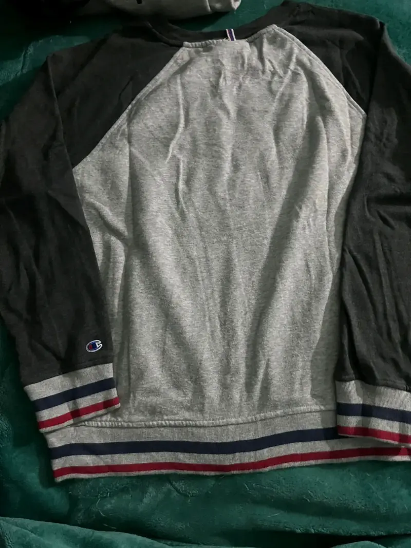 Polerón Champion gris y negro - 5
