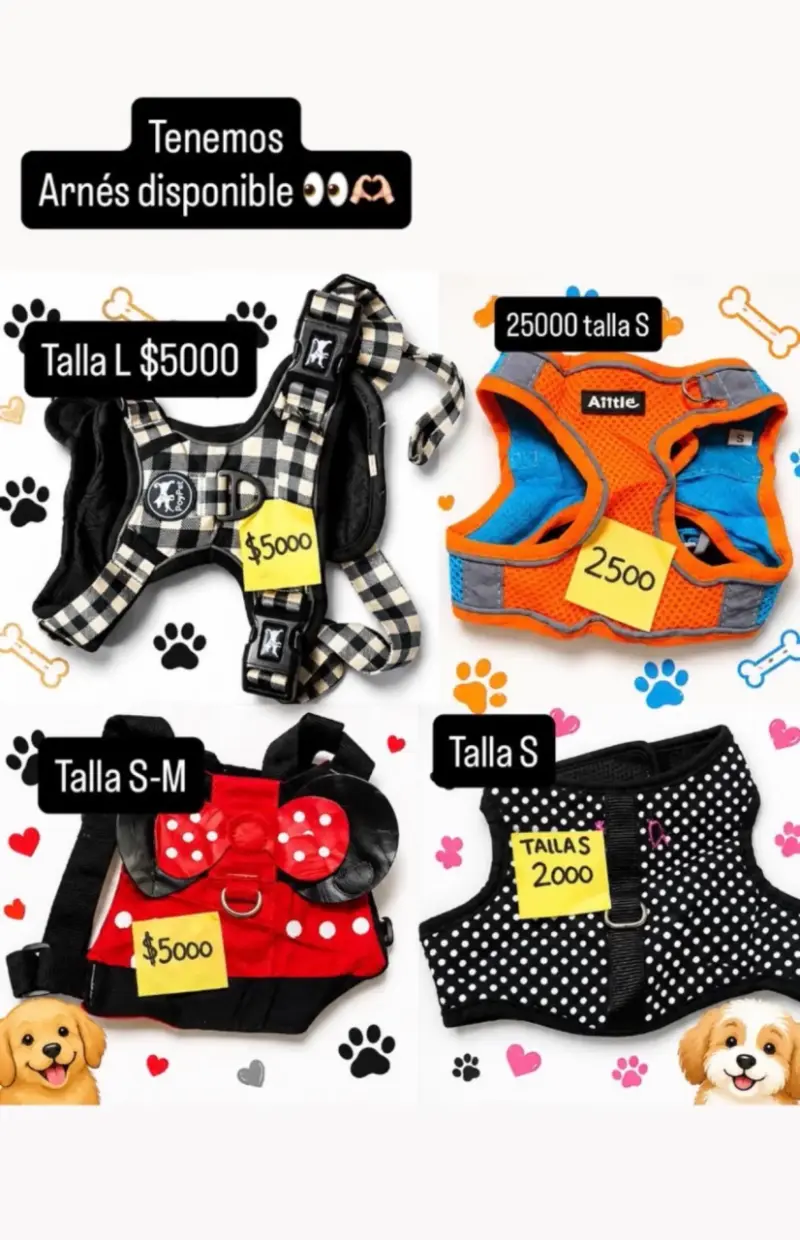 Ropa de americana para mascotas - 3