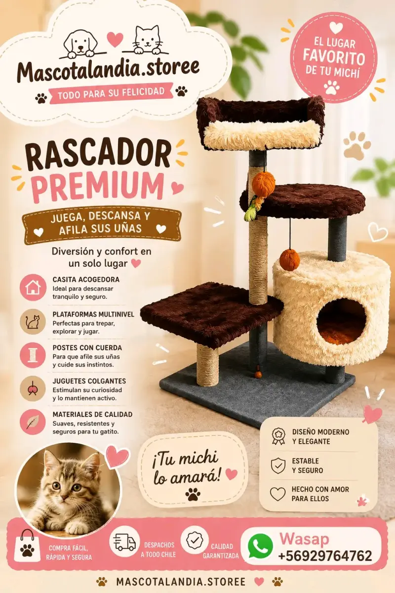 Rascador para gatos premium