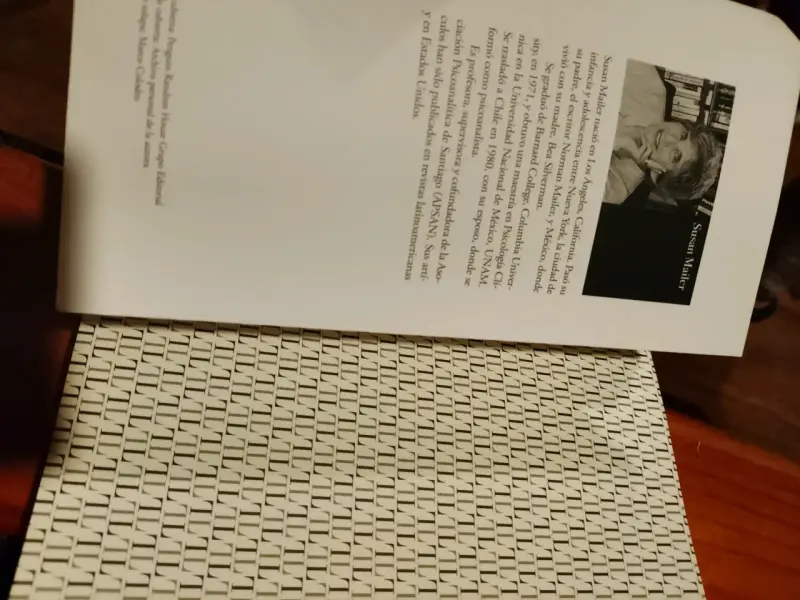 Libro En Otro Lugar - Susan Mailer - 2